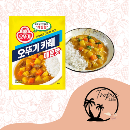 Curry en Poudre - Ottogi - 100g