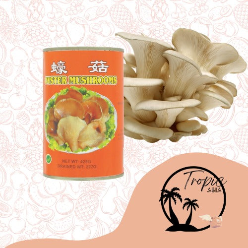 Champignon Huître - 425g