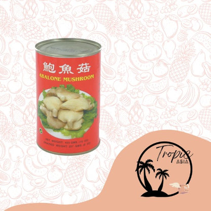 Champignon d'Abalone - 425g