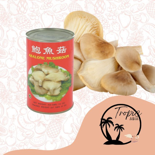 Champignon d'Abalone - 425g